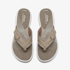 Breeze Sea|Clarks Hot
