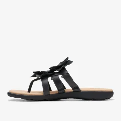 Elizabelle Mae|Clarks New