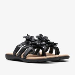Elizabelle Mae|Clarks New