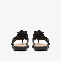 Elizabelle Mae|Clarks New