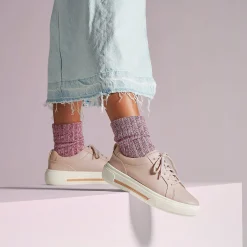 Hollyhock Walk|Clarks Hot