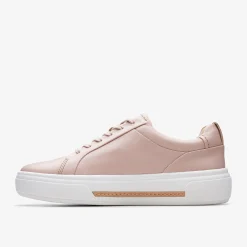 Hollyhock Walk|Clarks Hot