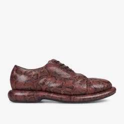 Martine Rose Womens Oxford 1|Clarks Hot