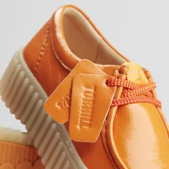 Torhill Bee|Clarks