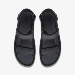 Wesley Bay|Clarks